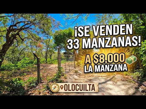 Se vende 33 manzanas de terreno en caserio la cuchilla canton la esperanza, dist. Olocuilta, la paz
