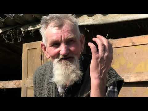 Bugaszegi szösszenetek -  A új frizura