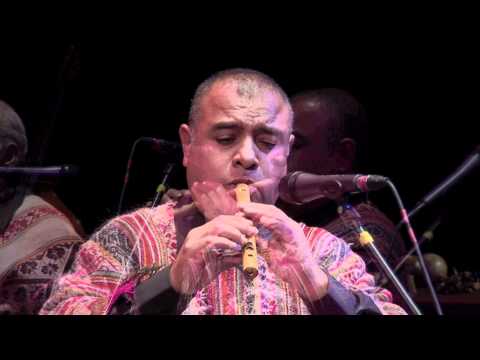 Los Folkloristas - Raiz Viva (45 años DVD)