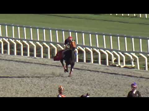 RAINHA PIONEIRA(Brz)-REVISTA INVASOR