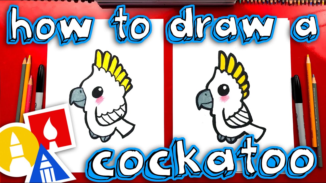 How To Draw A Cartoon Cockatoo