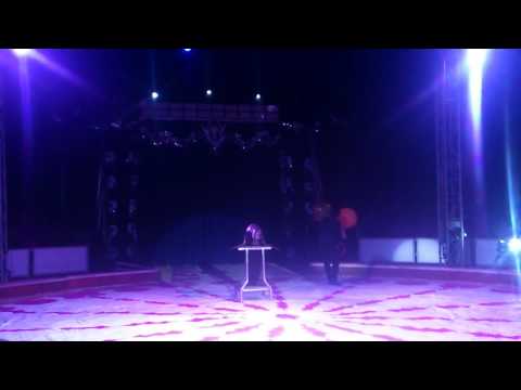 download lagu mp3 mp4 Circo Foca, download lagu Circo Foca gratis, unduh video klip Circo Foca