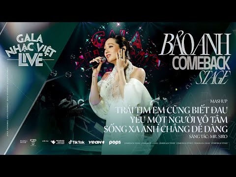 Mashup: Trái Tim Em Cũng Biết Đau, Yêu Một Người Vô Tâm, Sống Xa Anh Chẳng Dễ Dàng - Bảo Anh