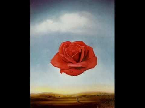 Cookiemunsta - Madnessinsanity (Housesucker Mix)