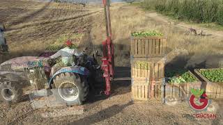 Новый погрузчик на заднюю навеску Gen&ccedil;g&uuml;&ccedil;san TRACTOR MOUNTED FORKLIFT - 220 CM / 170 CM | Изображение 4 - Agroline