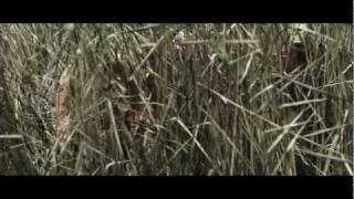 MMOTHS - Heart (feat. Keep Shelly In Athens)