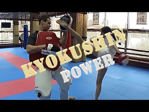 One Day Kyokushin Workout