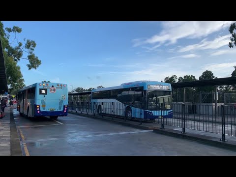 2190ST Transport Vlog 142: [Forest Coachlines] Nice ZF Ecolife on Volvo B7RLE (Bustech) (5401 197)