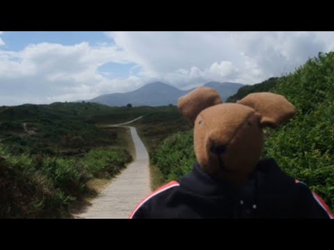 Munchkin visits Murlough beach wearing a tracksuit
