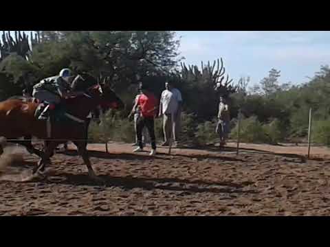 Hipódromo Pozo Nuevo - Pequeño accidente.