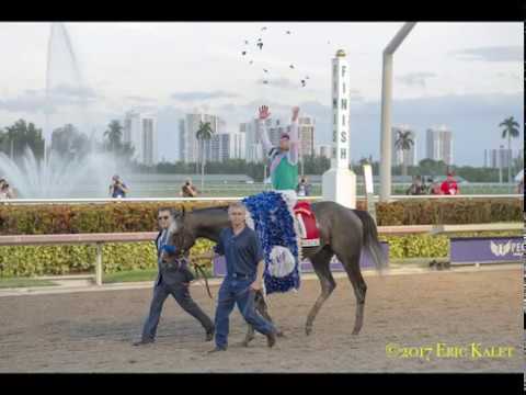 Juddmonte Christmas '17