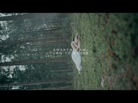 Awaken I Am - Turn to Stone (Official Video)