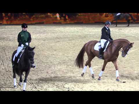 Die Klassische Reitweise auf der EQUITANA 2013