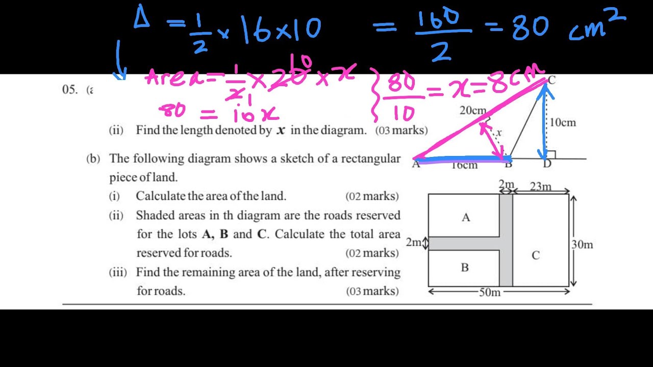 AREA of a triangle 🔺️ Grade 8 3rd term maths paper Revision 