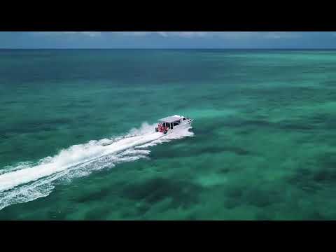 || SESSION TRANCE 2024 || ARMIN VAN BUUREN FERRY CORSTEN RANK 1 RUBEN DE RONDE DT8 PROJECT RIVER ||