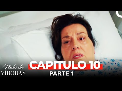 Nido De Víboras Todos Los Capítulos 10 Parte 1