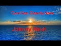 I Can See Clearly Now  - Johnny Nash - with lyrics