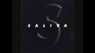 Saliva - Spitshine