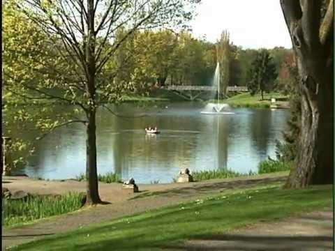 MFIP YouTube 3-2012.mpg