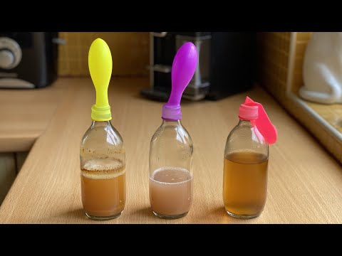 LIEVITO fatto in casa per BIRRA, VINO e PANE