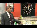 Michigan man's felony marijuana charges dropped day after voters approve legalization