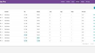 Website Pro - Demo Walkthrough