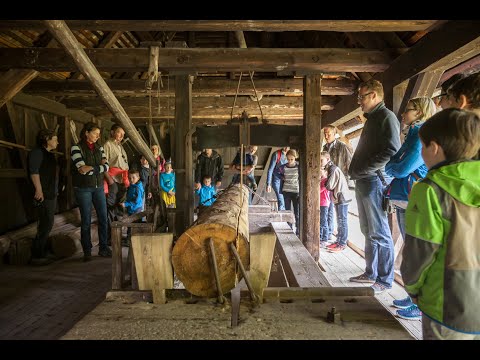 Vogtsbauernhof  - Vorführung: Hochgangsäge