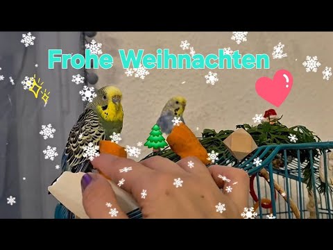 Wenn alles wie verzaubert ist