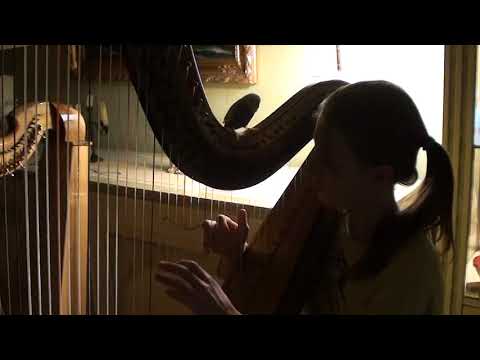 Meme Harp - Duo  Harp Erard with Parrot