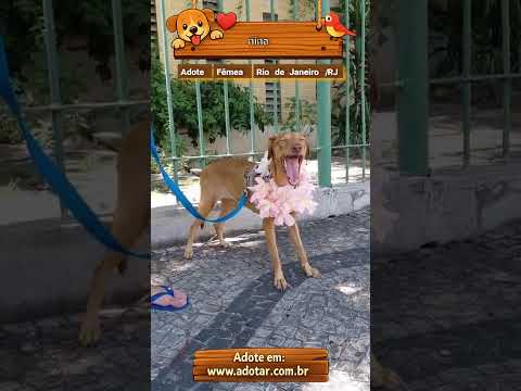Vídeo de nina