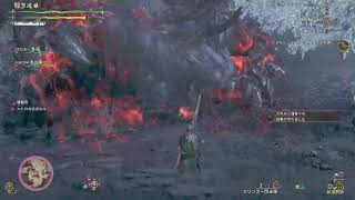 【Monster Hunter Wilds】★10ププロフェイクα、フルドレスαを入手するぞー【サークル】