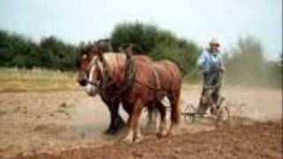 The Bantry Girls Lament, Tommy Fleming