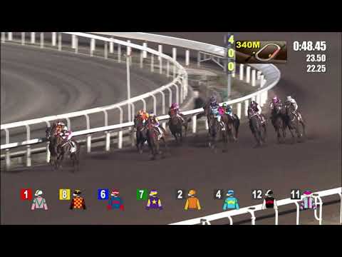 27/10/2021 (126) Magic Supreme - R Maia