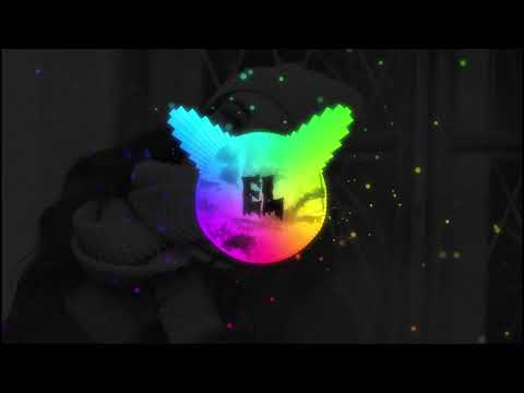 😻 🤪 PAXER X PABLO TYBORI - NIESAMOWITA (Bass Boosted) 🤪 😻