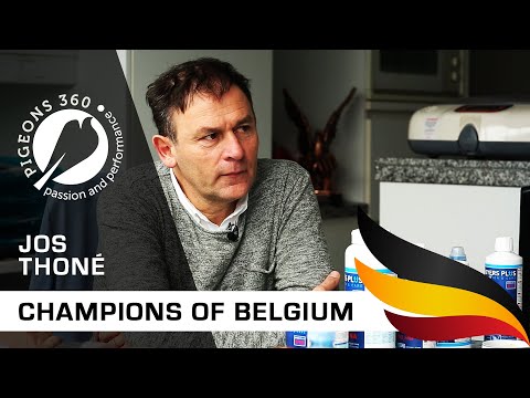 Belgischer Meister - Jos THONE - Top-Taubenzüchter