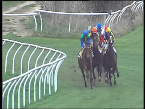 Galoppo 23/02/2016 - 3° corsa