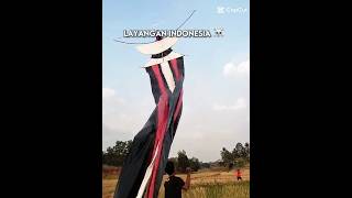 Download lagu cuman layangan naga raja doang kok 🗿👍 #layangan #layangannagaraja #xyeagle #xyeagleofficial mp3