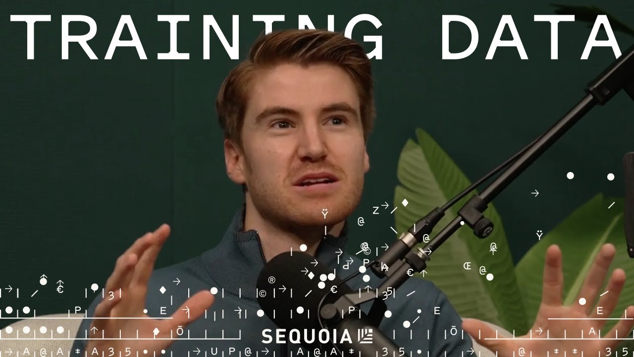 从普林斯顿学霸到AI创业者:他用AI Agent替代4000亿美元的BPO市场