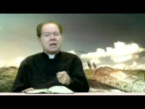 O Pão Nosso  23 Outubro 2016    -     Pe. F. C. Cardoso