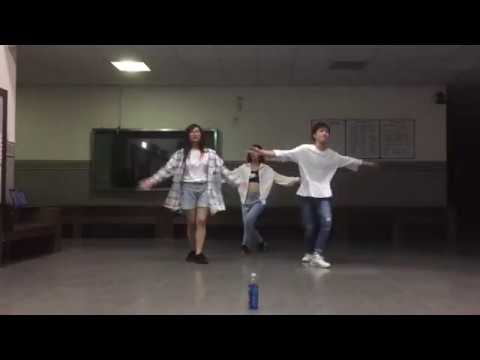 exid lady dance cover