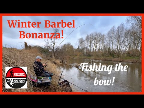 Winter Barbel Bonanza - Fishing the Bow!