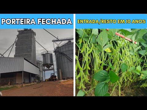 Fazenda PORTEIRA FECHADA A Venda No município De Goiatins - Tocantins