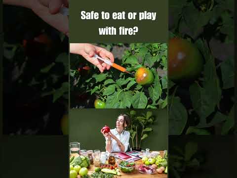 Biotech Foods: Health Revolution or Hidden Risk?