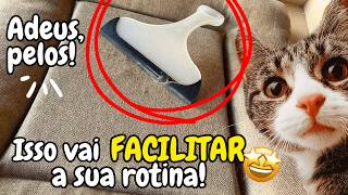 Como Limpar as camas dos Gatos e Retirar os Pelos Grudados de UM JEITO MUITO FÁCIL e RÁPIDO!