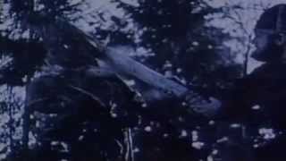 Bathory - In Memory of Quorthon