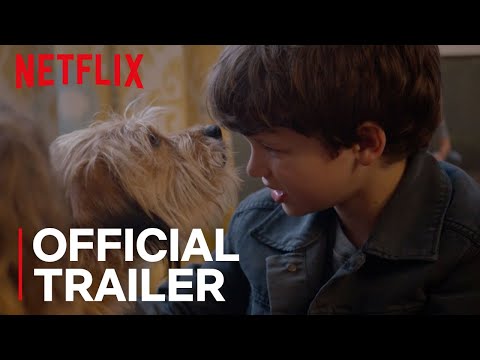 Benji Netflix Release Date, News & Reviews - Releases.com