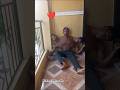 Best conjoined triplets ever seen #shorts #ytshorts #goviral #triplets #trending .