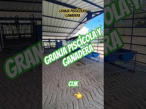granja piscícola y ganadera en san juan de arama 19 has, #granadameta #realestate #fincallanosariari
