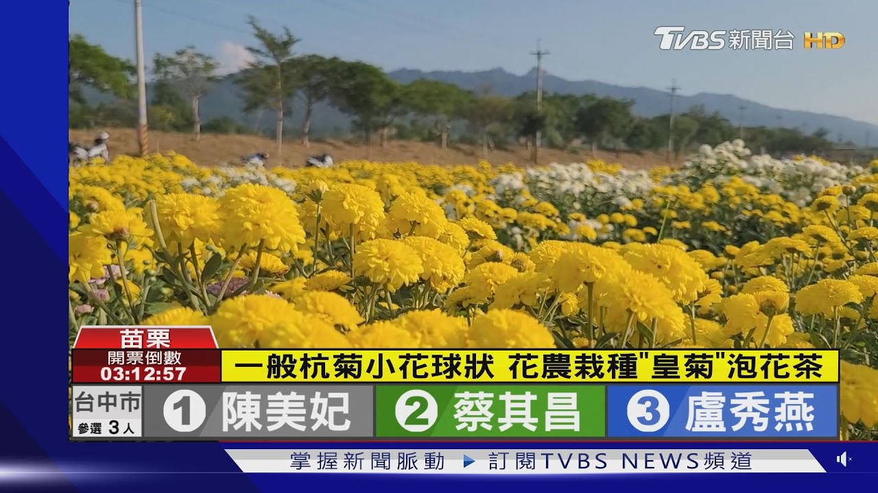 追火車、拍杭菊　飛鳥的視野看大地拼布