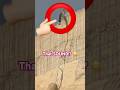 That SOUND Falcon S Flight Testing At Six Flags Qiddiya World S Tallest Coaster